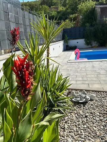 Apartment Erwin With Heated Pool Imotski