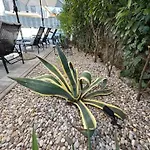 Erwin With Heated Pool *