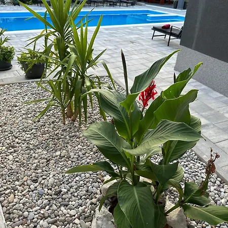 Erwin With Heated Pool Apartamento *